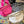 Load image into Gallery viewer, Bum Bag PREORDER