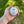Load image into Gallery viewer, Personalized Baseball with Plaque