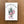 Load image into Gallery viewer, Decorated Christmas Tree Cookie Wooden Box style sign