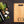 Load image into Gallery viewer, Personalized Last Name Cutting Board