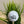 Load image into Gallery viewer, Personalized Golf Balls
