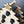 Load image into Gallery viewer, Liquor Tree Gift