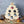 Load image into Gallery viewer, Liquor Tree Gift