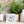 Load image into Gallery viewer, Inspirational Mini Signs