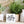 Load image into Gallery viewer, Inspirational Mini Signs