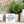 Load image into Gallery viewer, Inspirational Mini Signs