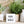 Load image into Gallery viewer, Inspirational Mini Signs